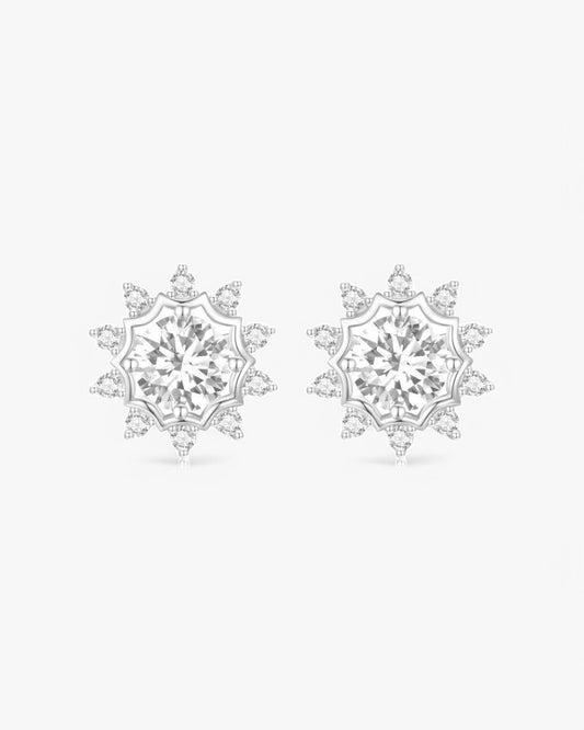 Frosted Elegance Earrings