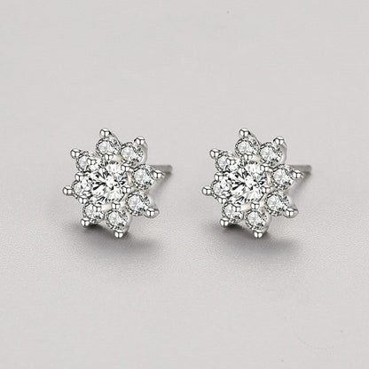 Frosted Glamour Earrings - Diamoray