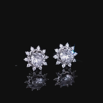 Frosted Elegance Earrings